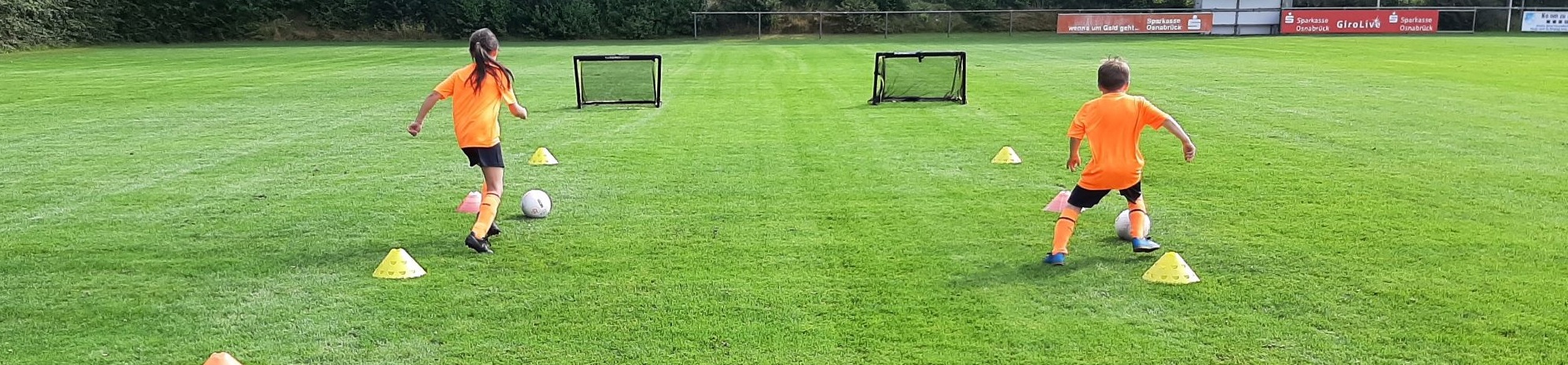 DFA Deutsch Fussball Akademie Kurse für Kinder und Trainer